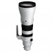 Sigma 300-600mm f/4 DG OS Sports - L-Mount